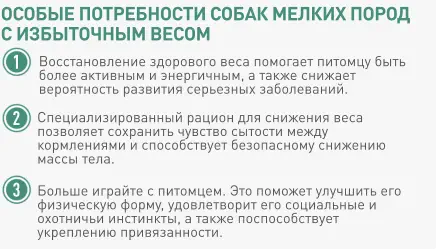 1 2 3 Восстановление здорового веса помогает питомцу быть более активным и энергичным, а также снижает вероятность развития серьезных заболеваний. Специализированный рацион для снижения веса позволяет сохранить чувство сытости между кормлениями и способствует безопасному снижению массы тела. Больше играйте с питомцем. Это поможет улучшить его физическую форму, удовлетворит его социальные и охотничьи инстинкты, а также поспособствует укреплению привязанности. *Sources: Only for dogs, FACCO SOFRES 2010  ОСОБЫЕ ПОТРЕБНОСТИ СОБАК МЕЛКИХ ПОРОД  С ИЗБЫТОЧНЫМ ВЕСОМ