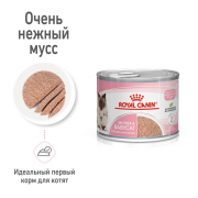 Royal Canin  Mother&Babycat Корм для котят в период первой фазы роста и отъема,беременных и кормящих кошек, мусс