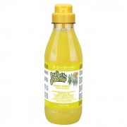 ИВ САН БЕРНАР Fruit of the Groomer Ginger&Elderbery Шампунь для любого типа шерсти против раздражений и перхоти 500 мл
