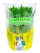 Травинка-витаминка Трава для животных Овес в круглом горшочке