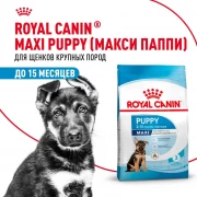 Royal Canin  Maxi Puppy сухой корм для щенков собак крупных размеров