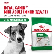 Royal Canin Mini Adult сухой корм для взрослых собак мелких размеров 