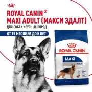 Royal Canin Maxi Adult сухой корм для взрослых собак крупных размеров