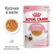 Royal Canin пауч 85г Kitten для котят от 4 до 12 мес кусочки в желе 