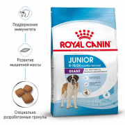 Royal Canin  Giant Junior сухой корм для щенков собак очень крупных размеров