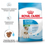Royal Canin  Mini Starter сухой корм для щенков до 2 месяцев и сук